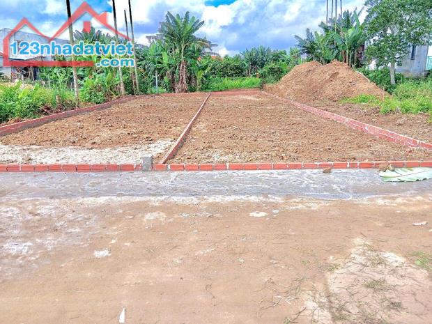 💫Cô Sáu bán 2 lô liền kề 280m2 đất ở đô thị hoàn toàn tại TT. Nam Phước giá 720tr - 1