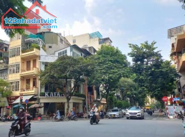 BÁN ĐẤT PHỐ NGÔ THÌ NHẬM, HAI BÀ TRƯNG, HÀ NỘI 159.9 TỶ, 230M2, GIÁ RẺ TẶNG NHÀ 3 TẦNG,