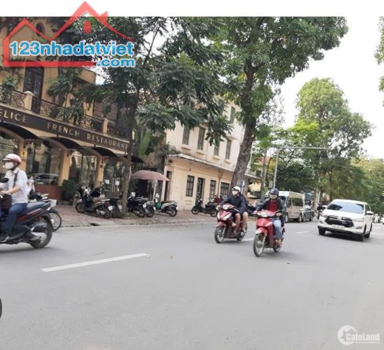 BÁN ĐẤT PHỐ NGÔ THÌ NHẬM, HAI BÀ TRƯNG, HÀ NỘI 159.9 TỶ, 230M2, GIÁ RẺ TẶNG NHÀ 3 TẦNG, - 1
