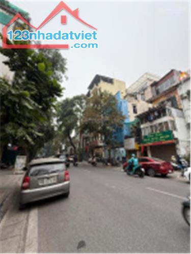 BÁN ĐẤT PHỐ NGÔ THÌ NHẬM, HAI BÀ TRƯNG, HÀ NỘI 159.9 TỶ, 230M2, GIÁ RẺ TẶNG NHÀ 3 TẦNG, - 3