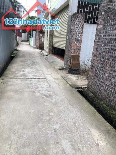 BÁN NHANH MẢNH ĐẤT ẤP TRE, QUANG MINH , MÊ LINH, HÀ NỘI - 3