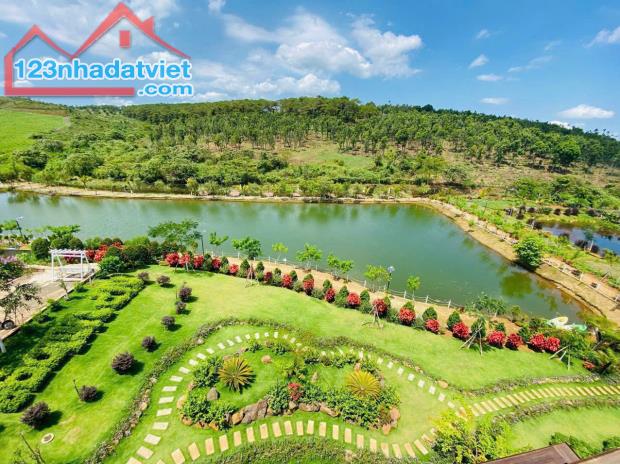 đất nền nghỉ dưỡng cơ hội nhận VF3 chỉ với 800 triệu - 3