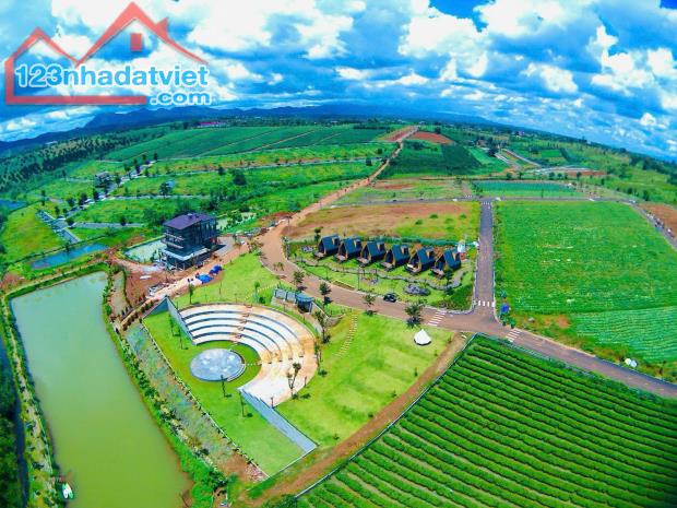 đất nền nghỉ dưỡng cơ hội nhận VF3 chỉ với 800 triệu - 4