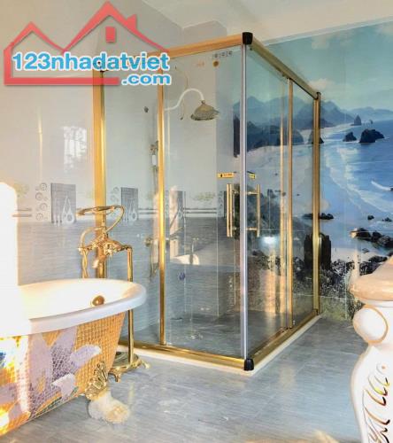 Bán nhà đường Võ Văn Kiệt, Cầu Ông Lãnh, Q1, 92m2, 4 tầng, thang máy, mới cong - 4