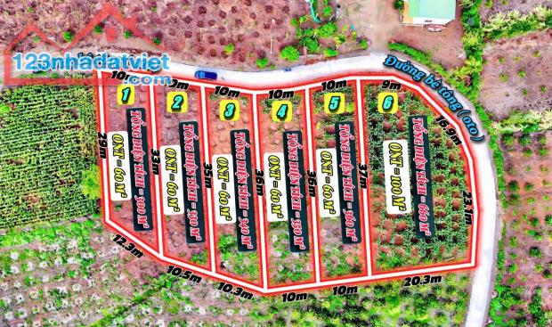 Đất TX Buôn Hồ giá rẻ ngang tận 10m nở hậu sẵn thổ cư đường bê tông tới đất đủ tiện ích - 1