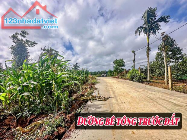 Đất TX Buôn Hồ giá rẻ ngang tận 10m nở hậu sẵn thổ cư đường bê tông tới đất đủ tiện ích - 2
