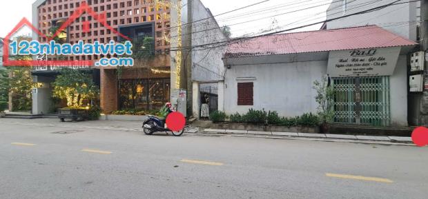 Bán đất đường Đầm Vạc, Đống Đa, Vĩnh Yên, Vĩnh Phúc. Giá chỉ 55 triệu/m2 - 2