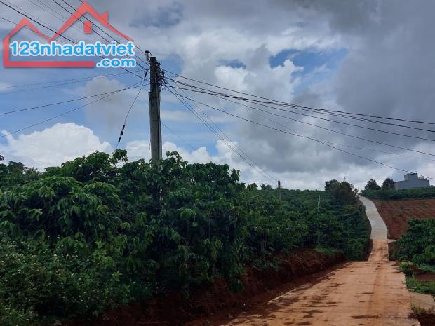 Bán 10.000m2 đã có 800m2 thổ cư tại Lâm Hà Đà Lạt - 2