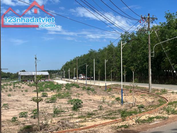 ĐẤT BÀU BÀNG GIÁ RẺ, MẶT TIỀN TRỪ VĂN THỐ