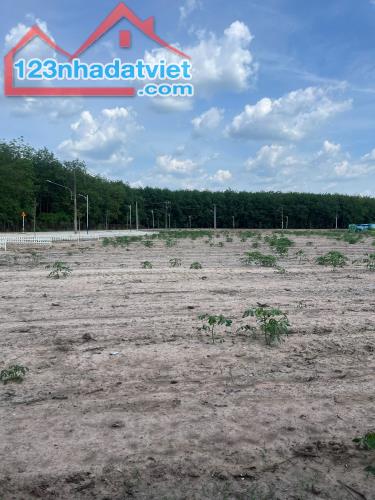 ĐẤT BÀU BÀNG GIÁ RẺ, MẶT TIỀN TRỪ VĂN THỐ - 1