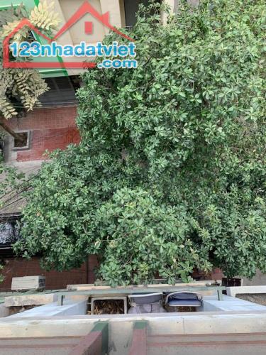 NGUYỄN VĂN LỘC- LÔ GÓC NHIỀU CÂY XANH- VỈA HÈ - Ô TÔ TRÁNH - KINH DOANH / VĂN PHÒNG– - 2
