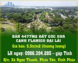 CHÍNH CHỦ BÁN 4477M2 ĐẤT GÓC SHR CẠNH FLAMIGO ĐẠI LẢI