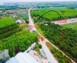 Đất Vàng Bàu Bàng giá rẻ nhận chiết khấu.