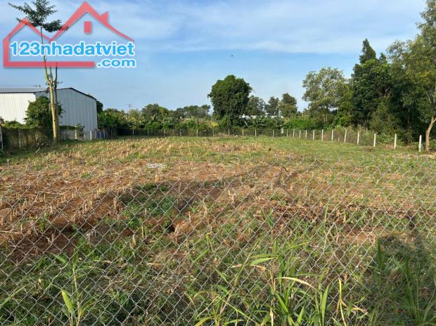 Cần bán 2000m2 có 300m2 thổ cư mặt tiền đường nhựa Trảng Bom gần sân bay Long Thành - 3