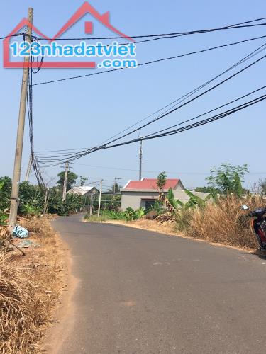 Cần bán 2000m2 có 300m2 thổ cư mặt tiền đường nhựa Trảng Bom gần sân bay Long Thành - 4