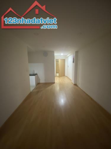 Cần cho thuê căn hộ Starlight Riverside  241/42 Nguyễn Văn Luông, Phường 11, quận 6, diện