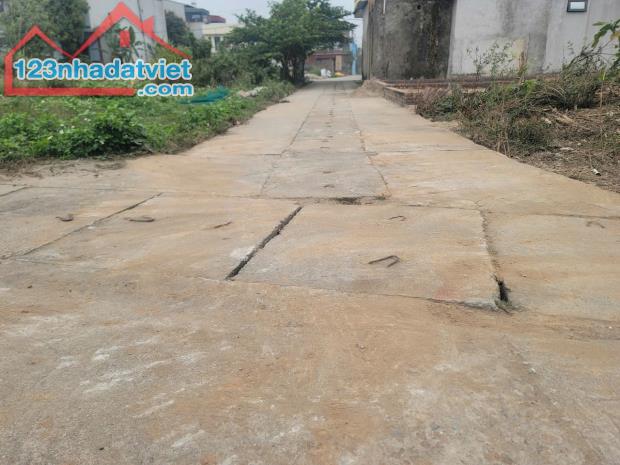 CC bán Đất Tổ 9 TT Quang Minh,full TC 50m,mt4m,giá đầu tư - 2