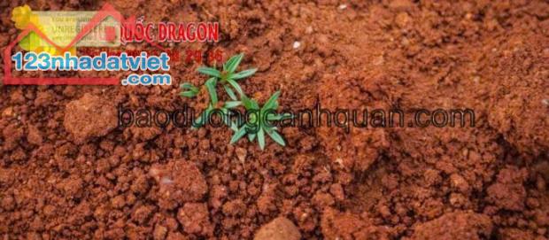 Cung cấp đất màu trồng cây, đất đỏ giá rẻ ở Đồng Nai, Long An, BRVT, Bình Dương, HCM - 1