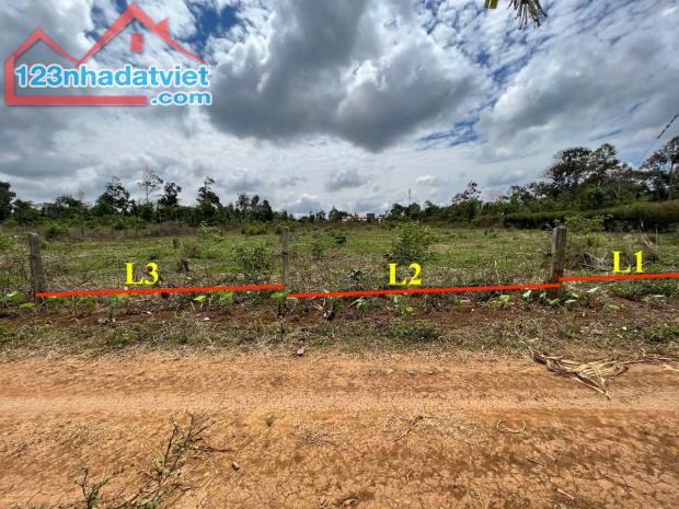 Bán 147m² Tara Hòa Đông – Gần Quốc Lộ, Cao Tốc – Full Thổ Cư