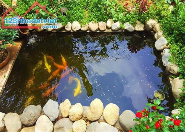 Thi công hồ cá, tiểu cảnh sân vườn độc đáo ở Đồng Nai, HCM