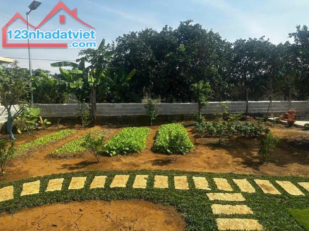 Bán nhà vườn 1.800M2 xã Tân Bình, Vĩnh Cửu, gần ngã Tư Chợ Bến Cá,  Hương Lộ 9 vào 100M - 4