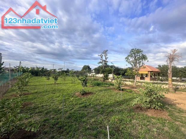 Bán nhà vườn 1.800M2 xã Tân Bình, Vĩnh Cửu, gần ngã Tư Chợ Bến Cá,  Hương Lộ 9 vào 100M - 5