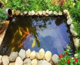 Thi công hồ cá, tiểu cảnh sân vườn độc đáo ở Đồng Nai, HCM