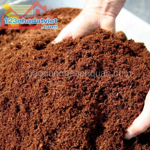 Bạn cần đất để trồng cây cảnh trong khuôn viên nhà hay xung quanh các tòa nhà, công ty ? - 1