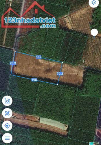 BÁN GẤP 9000M2 ĐẤT NÔNG NGHIỆP BẾN CÁT - BÌNH DƯƠNG - GIÁ CHỈ 80 TỶ - SỔ HỒNG RIÊNG