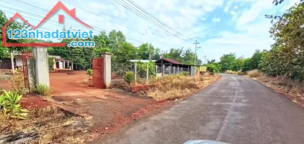 BÁN SÀO ĐẤT 15M MẶT TIỀN DT753 TÂN LỢI ĐỒNG PHÚ BÌNH PHƯỚC ĐÚNG 400TR