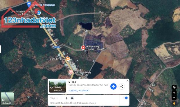 BÁN SÀO ĐẤT 15M MẶT TIỀN DT753 TÂN LỢI ĐỒNG PHÚ BÌNH PHƯỚC ĐÚNG 400TR - 1