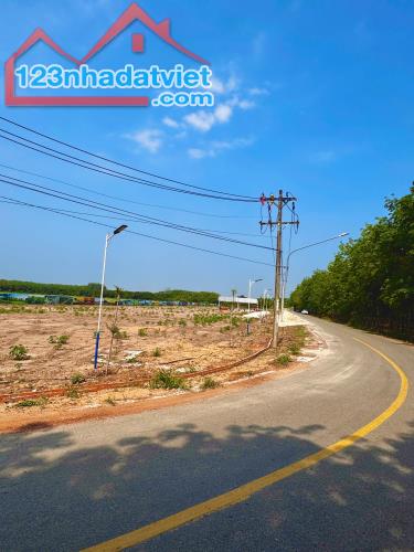 Bán Đất Thổ Cư Trừ Văn Thố Bàu Bàng, Bình Dương – Vị Trí Đẹp, Giá Rẻ
