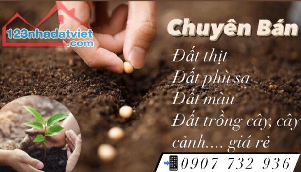 Bạn cần nơi cung cấp đất màu trồng các loại rau sạch?