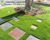 Dịch vụ trồng cỏ khuôn viên,cỏ vườn uy tín KCN tại Đồng Nai,HCM