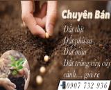 Bạn cần nơi cung cấp đất màu trồng các loại rau sạch?