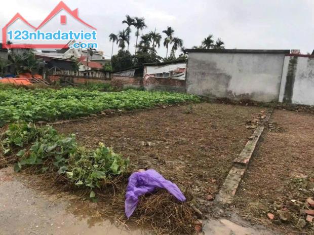 Bán lô đất 75m2 ngõ 4m Thanh Sơn Kiến Thụy Hải Phòng giá 1,15 tỷ - 1
