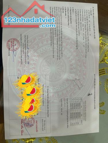 Bán đất nền KĐT Vương Long Vân Đồn – Giá rẻ nhất khu vực, đầu tư sinh lời cao!