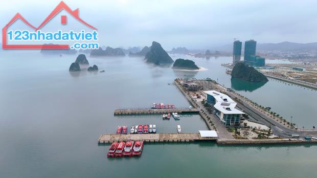 Bán căn Studio, 37m2, ban công Đông Nam, view vịnh Bái Tử Long, Vân Đồn, Quảng Ninh - 1