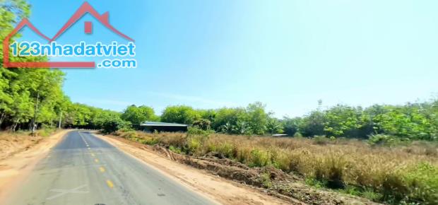 BÁN 17X57=981,4M2 100M THỔ CƯ MẶT TIỀN DT750  BÀU BÀNG BÌNH DƯƠNG 560TR