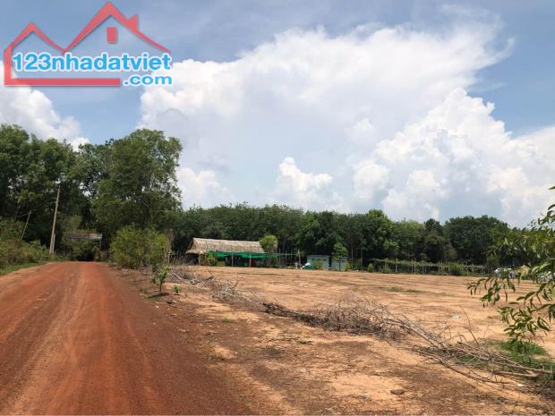 Bán đất 40m dọc Hồ Dầu Tiếng, view cực đẹp, 8000m2 sẵn thổ cư 400m2, giá chỉ 10 tỷ - 4