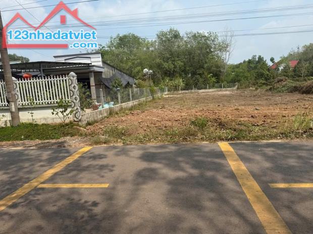 Bán lô gốc MT (1.600m2) full SHR, giá 450 triệu sát KCN, trường chợ, trung tâm sầm uất nhấ - 2