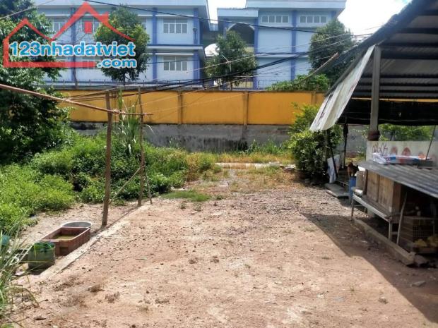 BÁN LÔ ĐẤT ĐẸP 85M2 -GIÁ 1 TỶ 500 - TÂN THẠNH ĐÔNG - GIÁ ĐẦU TƯ