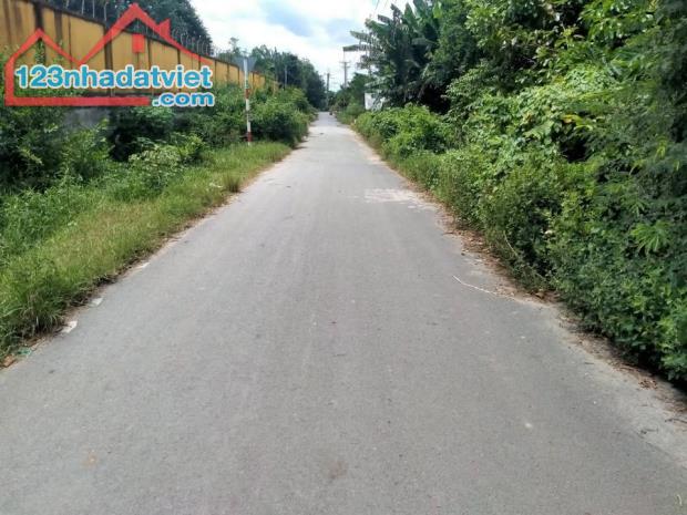 BÁN LÔ ĐẤT ĐẸP 85M2 -GIÁ 1 TỶ 500 - TÂN THẠNH ĐÔNG - GIÁ ĐẦU TƯ - 1