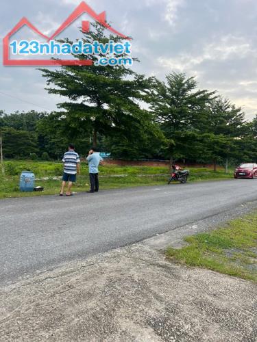 CHỦ CẦN BÁN GẤP LÔ ĐẤT 174 m2, ĐƯỜNG NHỰA TẠI PHƯỚC VĨNH AN, CỦ CHI. - 1