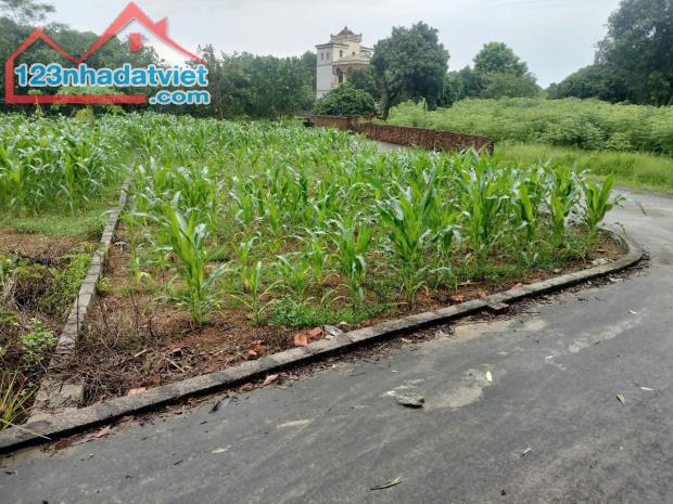 LÔ GÓC,100m2 ful thổ cư, thôn đồi sen, xã bình yên, thạch thất, hà nội