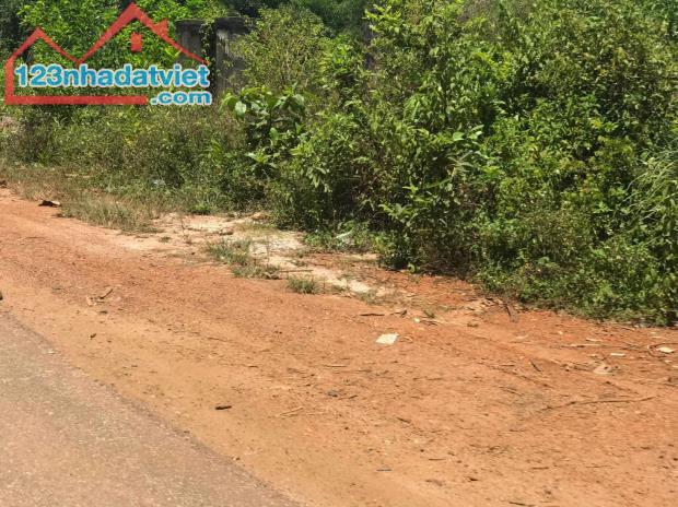 chính chủ bán lỗ  2000m2 ngay biển quảng ngãi bình sơn 260triệu sổ hồng riêng - 1