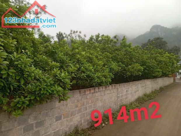 SIÊU HOT!!! MỞ BÁN NHANH 3 LÔ ĐẤT ĐẸP Xã MỴ HÒA, KIM BÔI, HÒA BÌNH. GIÁ ĐẦU TƯ - 3