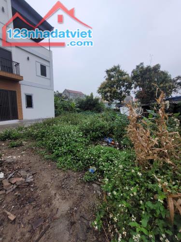 Bán đât ở Lương Quán Nam Sơn An Dương 88 m2, 1,29 tỷ