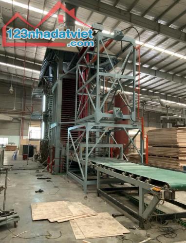 Cho Thuê Xưởng Phước Hòa, Phú Giáo, Bình Dương – 17.200m², PCCC Tự Động, Điện 3.000KVA –