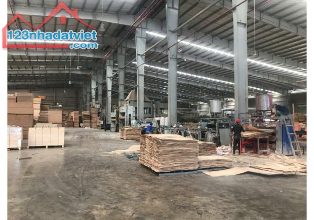 Cho Thuê Xưởng Phước Hòa, Phú Giáo, Bình Dương – 17.200m², PCCC Tự Động, Điện 3.000KVA – - 2